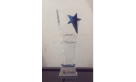 Award for Safe Workplace of the Year in Renewable Industry at India HSE & Summit